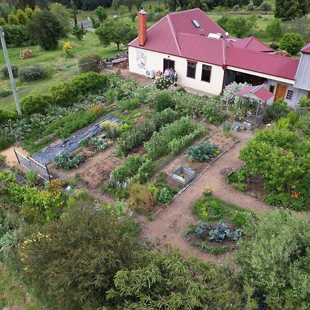 Cherry Top Farmstay - Boutique Eco Village Lilydale Extérieur photo