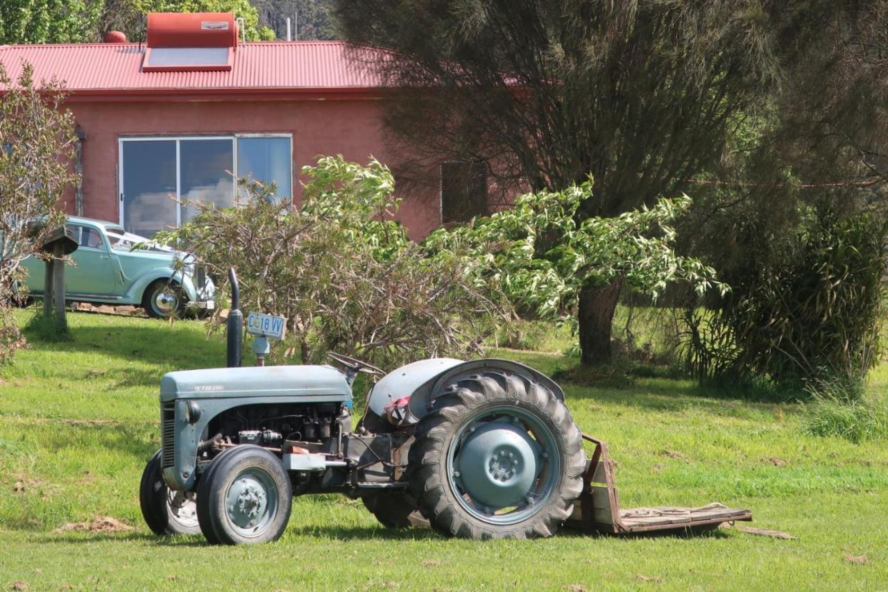 Cherry Top Farmstay - Boutique Eco Village Lilydale Extérieur photo