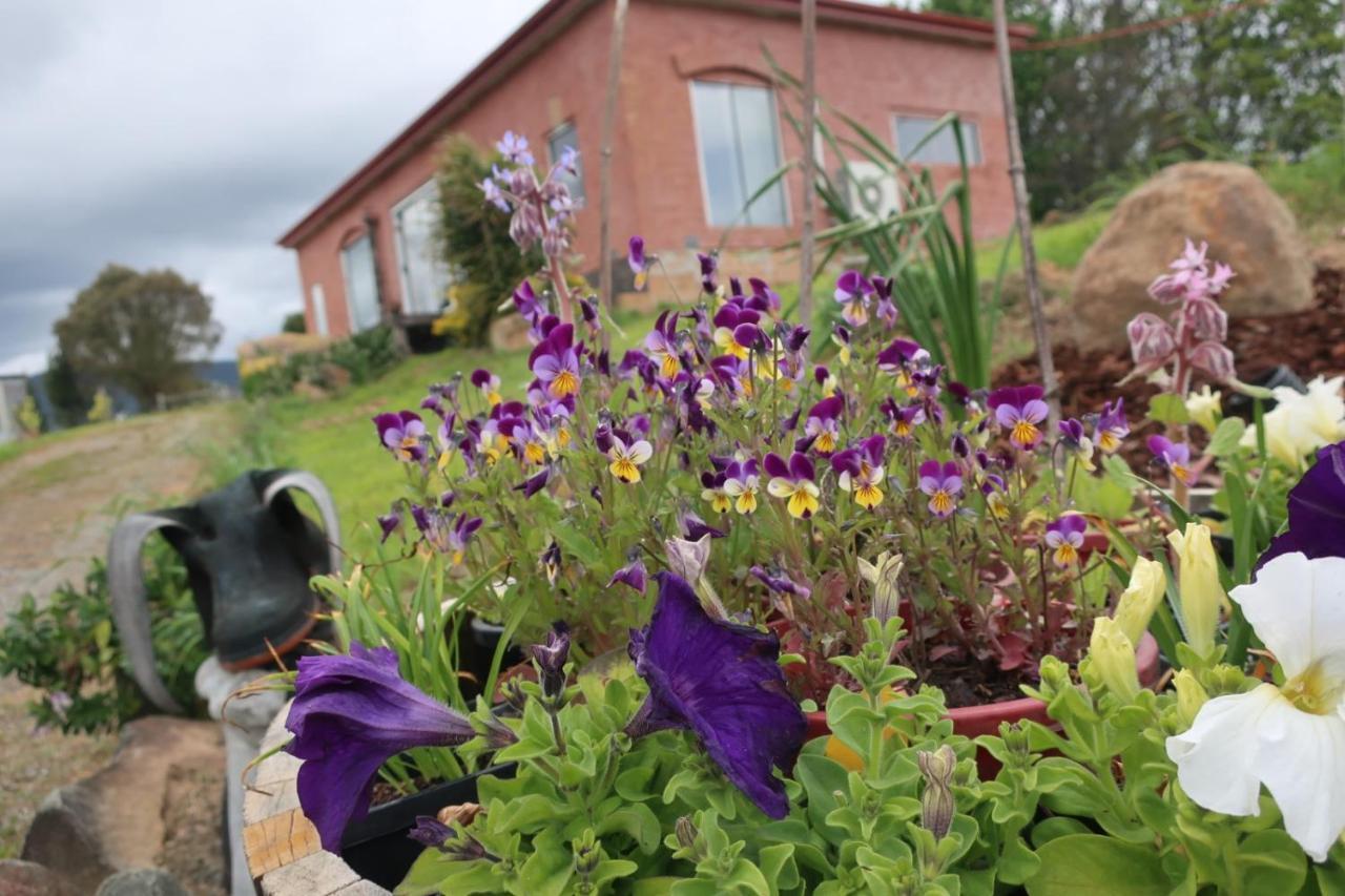 Cherry Top Farmstay - Boutique Eco Village Lilydale Extérieur photo
