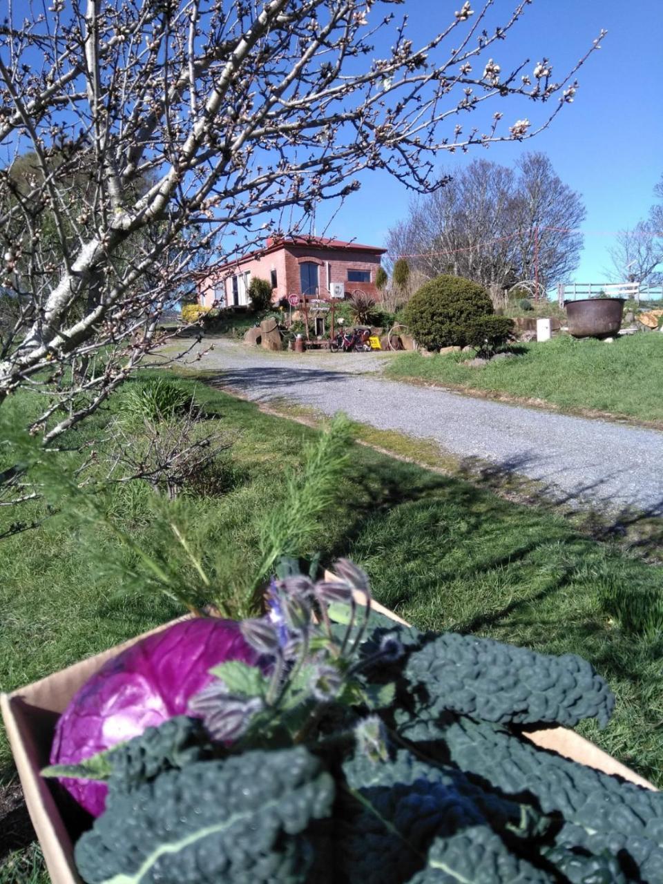 Cherry Top Farmstay - Boutique Eco Village Lilydale Extérieur photo