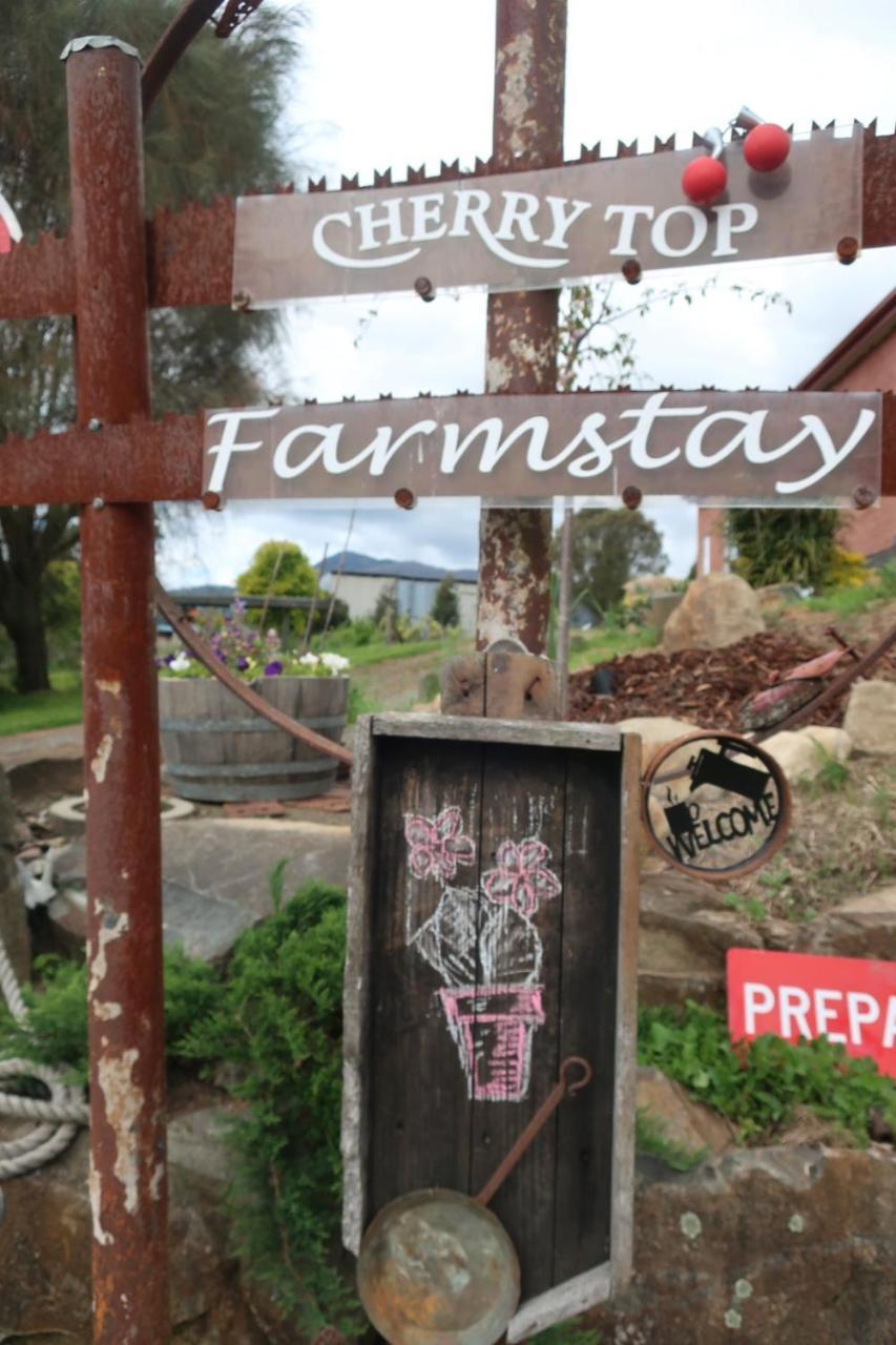Cherry Top Farmstay - Boutique Eco Village Lilydale Extérieur photo