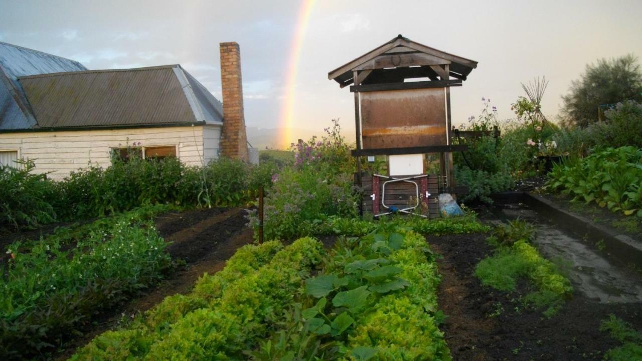 Cherry Top Farmstay - Boutique Eco Village Lilydale Extérieur photo