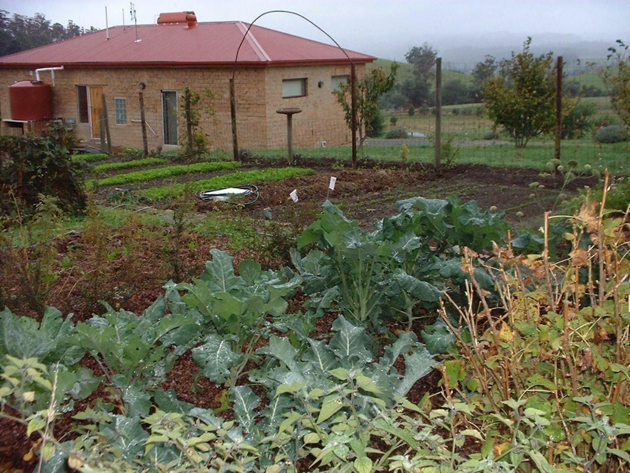 Cherry Top Farmstay - Boutique Eco Village Lilydale Extérieur photo