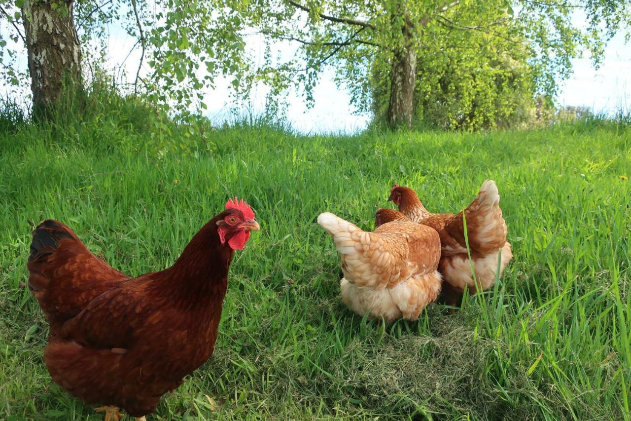Cherry Top Farmstay - Boutique Eco Village Lilydale Extérieur photo