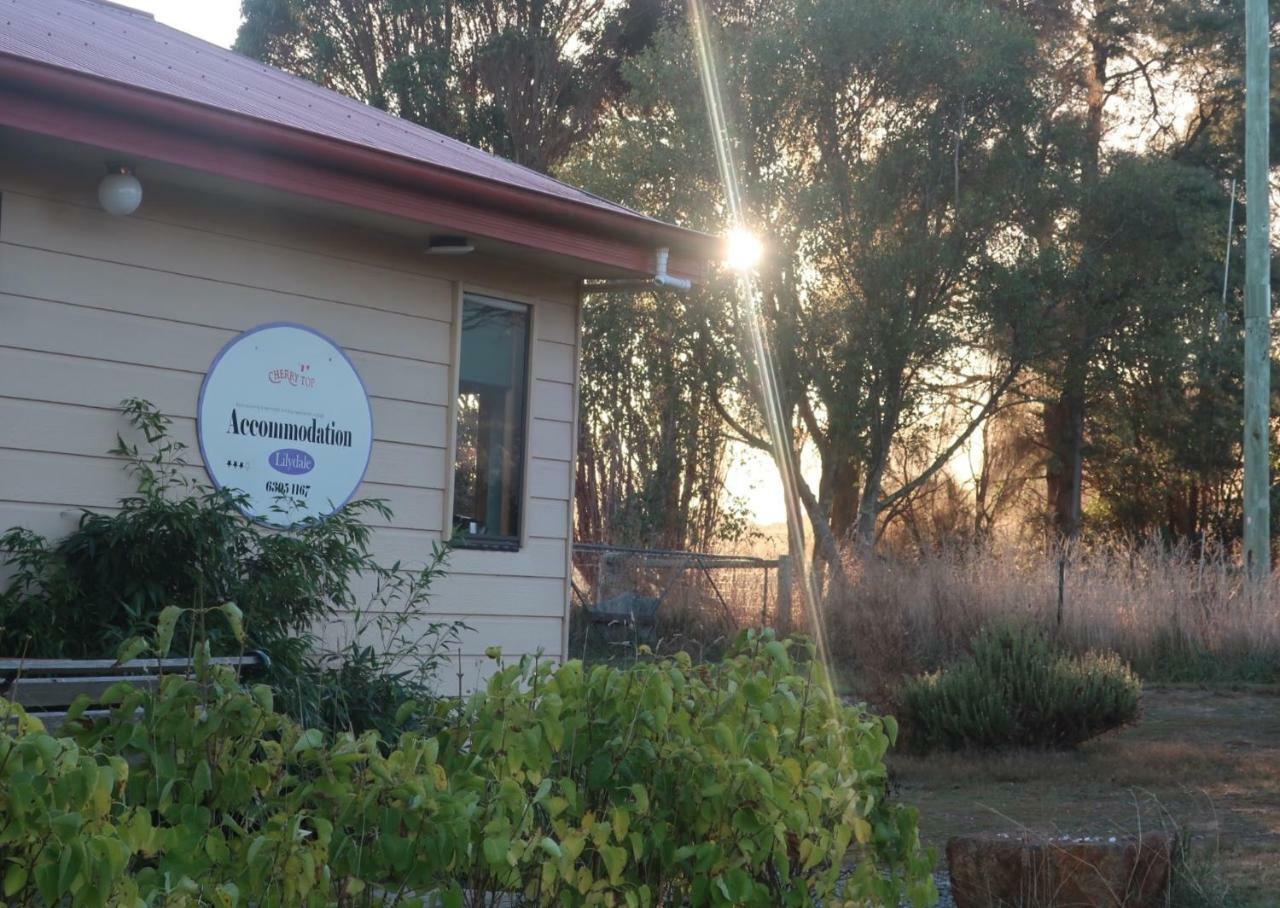 Cherry Top Farmstay - Boutique Eco Village Lilydale Extérieur photo