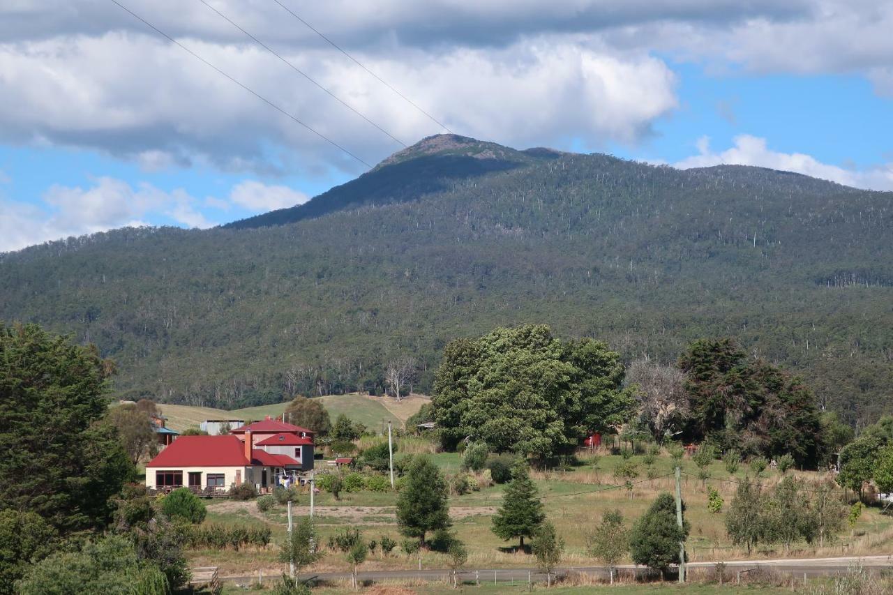 Cherry Top Farmstay - Boutique Eco Village Lilydale Extérieur photo