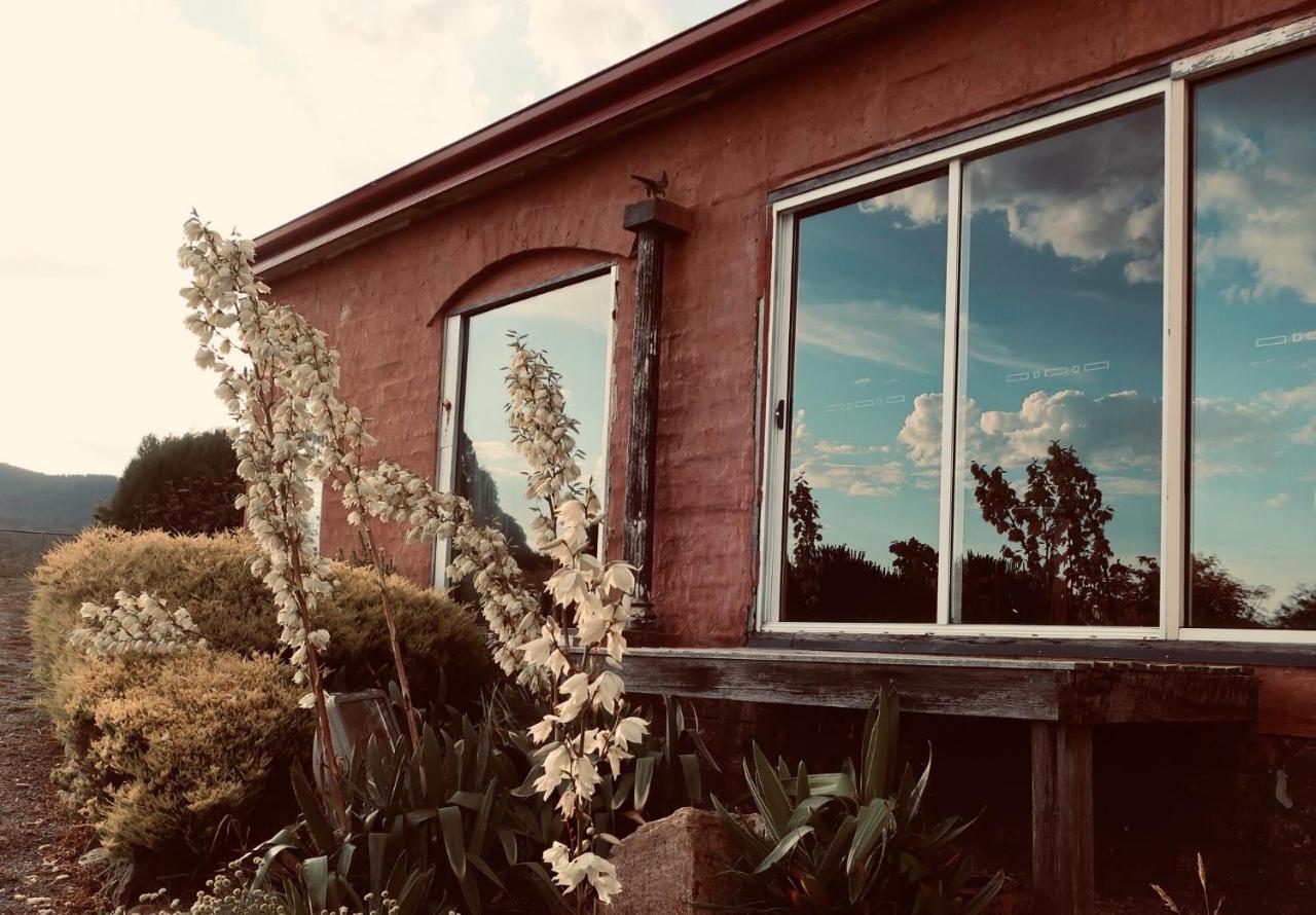 Cherry Top Farmstay - Boutique Eco Village Lilydale Extérieur photo